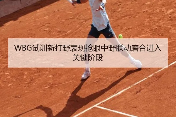 WBG试训新打野表现抢眼中野联动磨合进入关键阶段